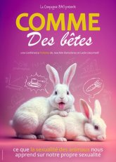 FINAL_SD_Comme_des_betes_Compagnie_BAO.jpg